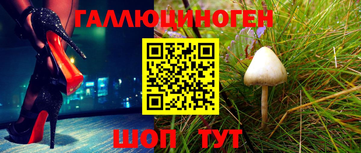 Галлюциногенные грибы GOLDEN TEACHER Городец