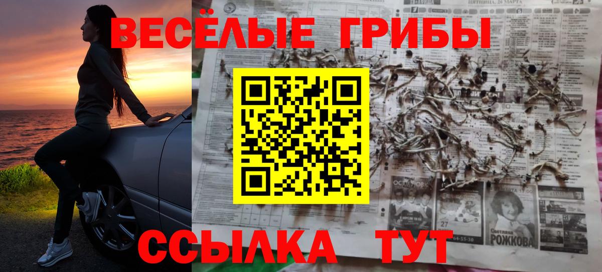 Городец  Галлюциногенные грибы Psilocybine cubensis  Вход с VPN  Галлюциногенные грибы прущие грибы 