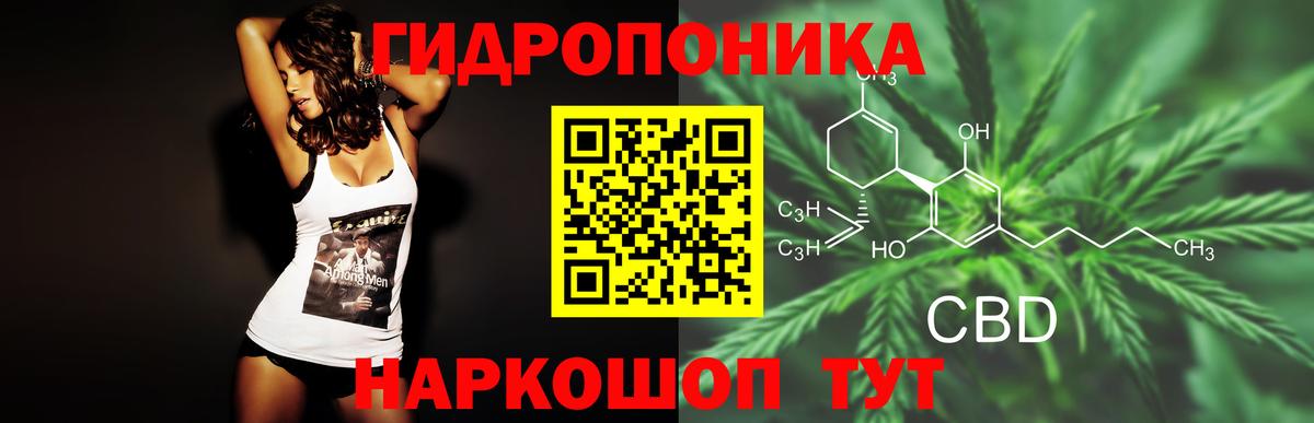Бошки марихуана White Widow  Шишки марихуана Ganja  Бошки марихуана сатива  Бошки марихуана конопля  Городец  Вход с VPN 
